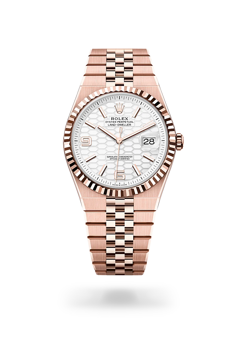 Rolex Land-Dweller in 18 kt Everose gold, M127335-0001 - Shreve Palo Alto