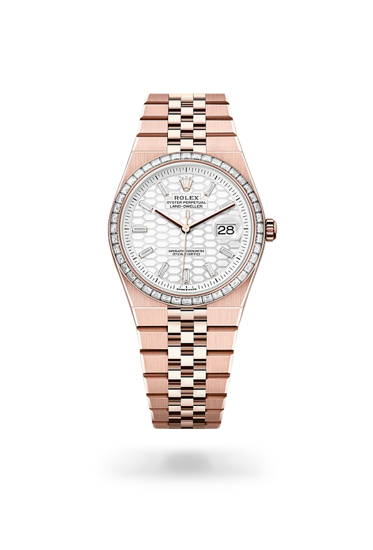 rolex Land-Dweller in 18 kt Everose gold, M127285TBR-0002 - Rolex Boutique - Palo Alto